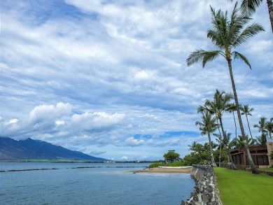 A Wonderful 2 Bedroom Condo with Pacific Views.